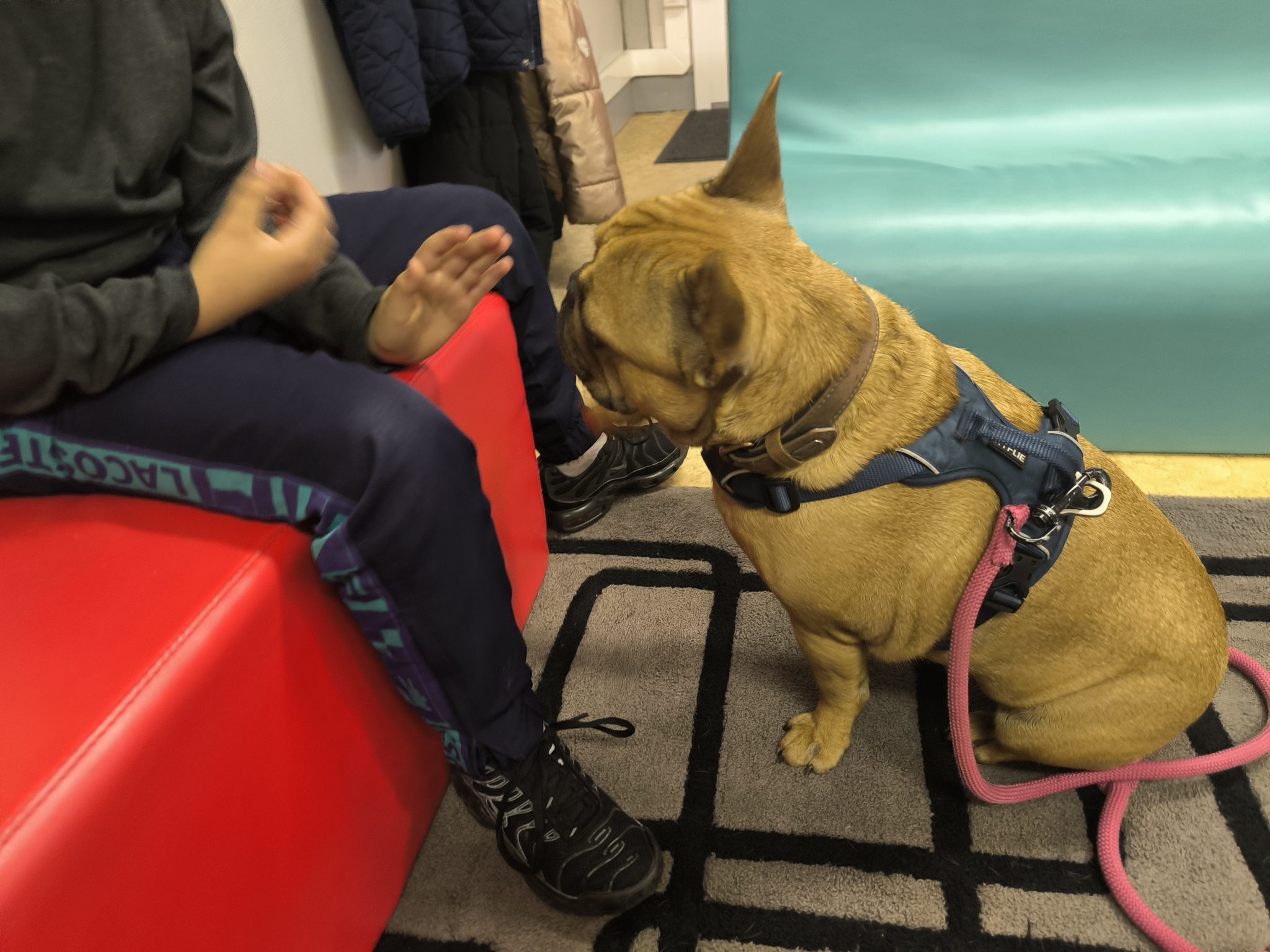 .trashed-1766266215-IMG_20251107_174028